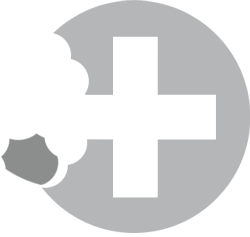 Primary Raster logo